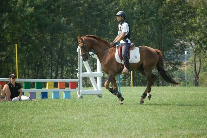 Jos&eacute; Romera, jinete de la Federaci&oacute;n Navarra, el mejor espa&ntilde;ol clasificado en la PAR del mundial de TREC